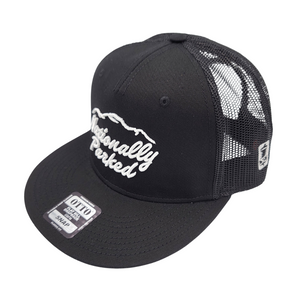 3D Embroidered Nationally Parked Script - Flat Bill Snapback - Black