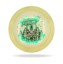 Load image into Gallery viewer, Wraith - Champion Proto Glow - 2025 Nationally Parked - Innova