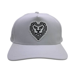 Diameter Apparel - Big Jerm Lion Heart - Sector Hat