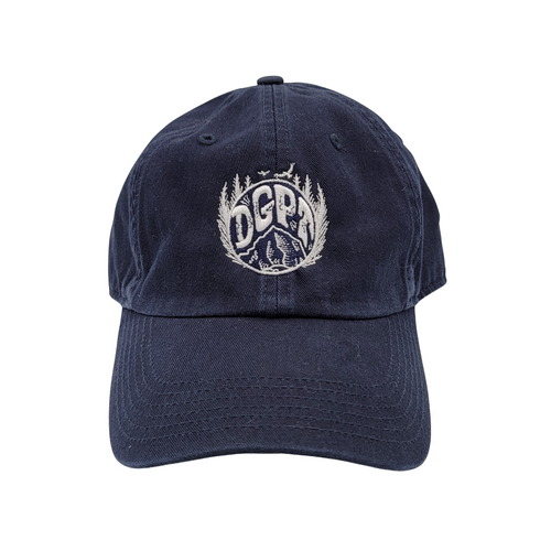 DGPT Nationally Parked Dad Hat - Navy